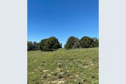 009 County Rd 242, Oakwood, TX 75855 - Photo 2