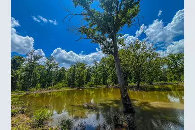 Tbd County Road 1906, Jacksonville, TX 75766 - Photo 26