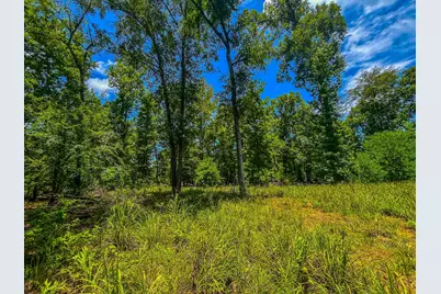 Tbd County Road 1906, Jacksonville, TX 75766 - Photo 14