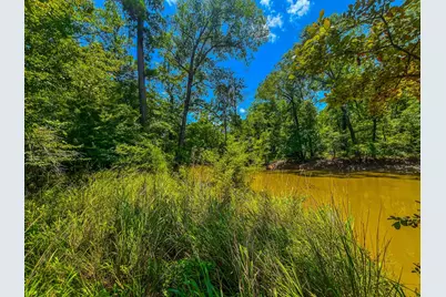 Tbd County Road 1906, Jacksonville, TX 75766 - Photo 22