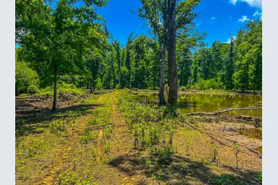 Tbd County Road 1906, Jacksonville, TX 75766 - Photo 12