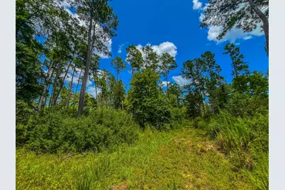 Tbd County Road 1906, Jacksonville, TX 75766 - Photo 30