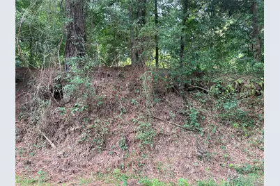 Tbd Fm-16, Winona, TX 75792 - Photo 4