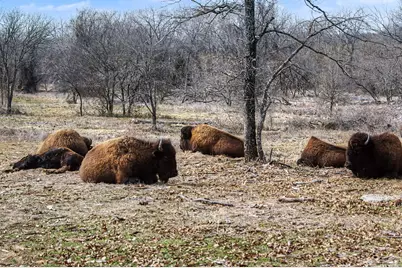 10500 Estancia Court, Fort Worth, TX 76108 - Photo 40