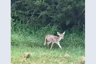 27074 Stonewood Drive, Whitney, TX 76692 - Photo 18