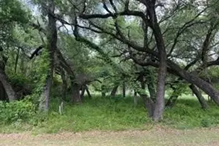 27074 Stonewood Dr, Whitney, TX 76692 - Photo 1