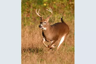 7401 David Court, Godley, TX 76044 - Photo 8