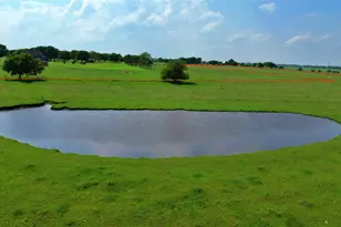 000 County Road 366, Era, TX 76238 - Photo 1