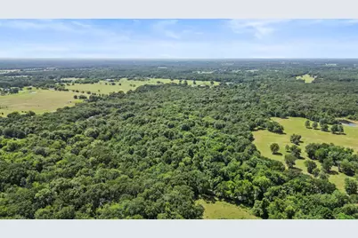 289 County Road 4586, Sulphur Springs, TX 75482 - Photo 6