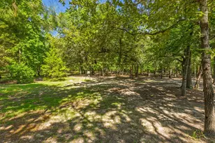 202 RS County Rd 4263, Emory, TX 75440 - Photo 40