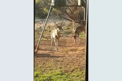 55 County Road 275, Priddy, TX 76442 - Photo 6