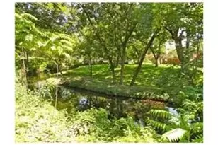 4851 Cedar Springs Rd, Dallas, TX 75219 - Photo 12