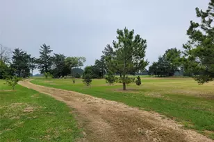 700 Cr 45900, Detroit, TX 75436 - Photo 4