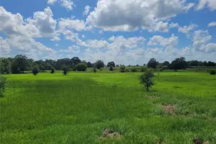 700 Cr 45900, Detroit, TX 75436 - Photo 8