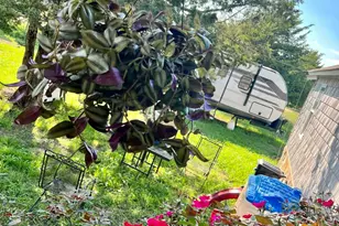 567 Co Rd 4754, Sulphur Springs, TX 75482 - Photo 6