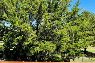 567 Co Rd 4754, Sulphur Springs, TX 75482 - Photo 12