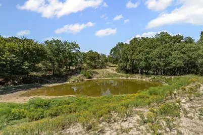 166 S Bronco Court, Springtown, TX 76082 - Photo 38