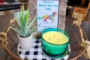 311 Co Rd 2724, Mineola, TX 75773 - Photo 14