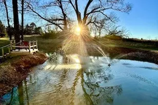 311 Co Rd 2724, Mineola, TX 75773 - Photo 28