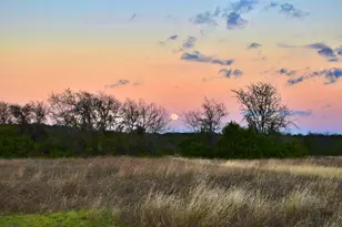1500 County Rd 2850, Kopperl, TX 76652 - Photo 4