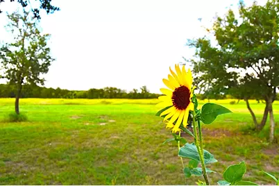 1500 County Road 2850, Kopperl, TX 76652 - Photo 2