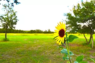 1500 County Rd 2850, Kopperl, TX 76652 - Photo 2