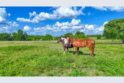 Tbd Lot 3 NW Cr 0150, Ennis, TX 75119 - Photo 12
