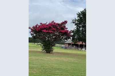 3284 Private Road 2558, Royse City, TX 75189 - Photo 6