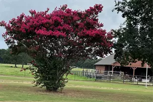 3284 Private Rd 2558, Royse City, TX 75189 - Photo 6