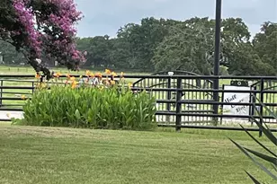 3284 Private Rd 2558, Royse City, TX 75189 - Photo 2