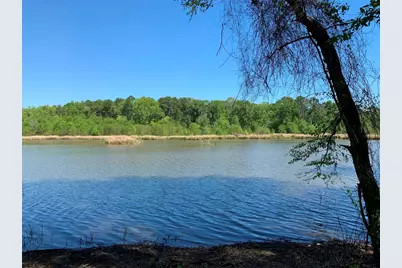 000 Fm-3506, Frankston, TX 75763 - Photo 6