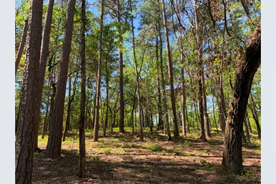 000 Fm-3506, Frankston, TX 75763 - Photo 8