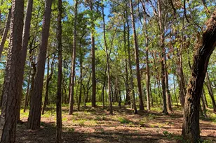 000 Fm-3506, Frankston, TX 75763 - Photo 8