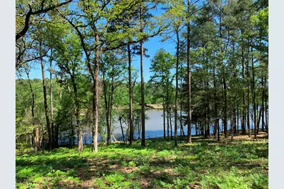 000 Fm-3506, Frankston, TX 75763 - Photo 2