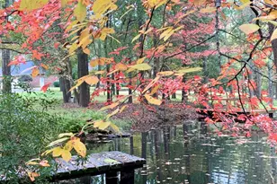 875 Arnold Paul Rd, Canton, TX 75103 - Photo 28