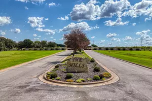 3066 Canyon Wren Loop, Graford, TX 76449 - Photo 30