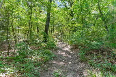 1987 County Road 3234, Quitman, TX 75783 - Photo 28