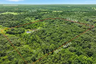 1987 Co Rd 3234, Quitman, TX 75783 - Photo 4