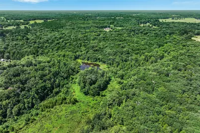 1987 County Road 3234, Quitman, TX 75783 - Photo 40