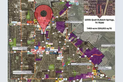 12001 Quail Drive, Balch Springs, TX 75180 - Photo 6