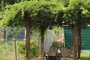 402 Cleveland St, Bailey, TX 75452 - Photo 14