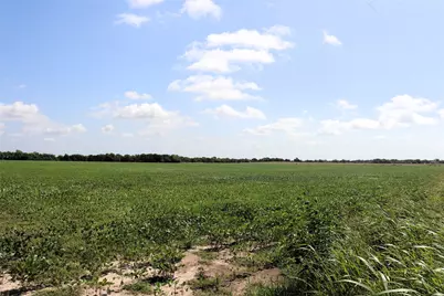 48Ac Cr 2165, Klondike, TX 75440 - Photo 20