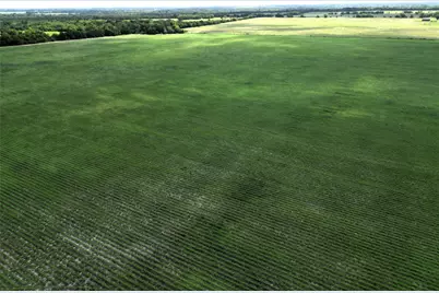 48Ac Cr 2165, Klondike, TX 75440 - Photo 12