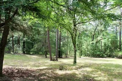 2733 County Road 1560, Grapeland, TX 75844 - Photo 4