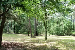 2733 Co Rd 1560, Grapeland, TX 75844 - Photo 4