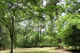 2733 Co Rd 1560, Grapeland, TX 75844 - Photo 8