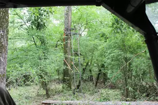 2733 Co Rd 1560, Grapeland, TX 75844 - Photo 6