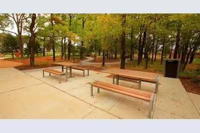 224 Bee Balm Road, McKinney, TX 75071 - Photo 18