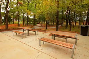 224 Bee Balm Rd, McKinney, TX 75071 - Photo 18