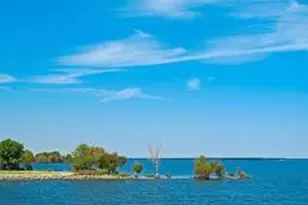 325 Driftwood Ave, Streetman, TX 75859 - Photo 16